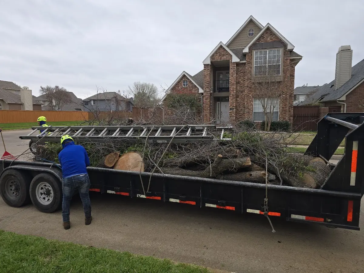 Expert Tree Removal with proper safety equipment in Russells Point